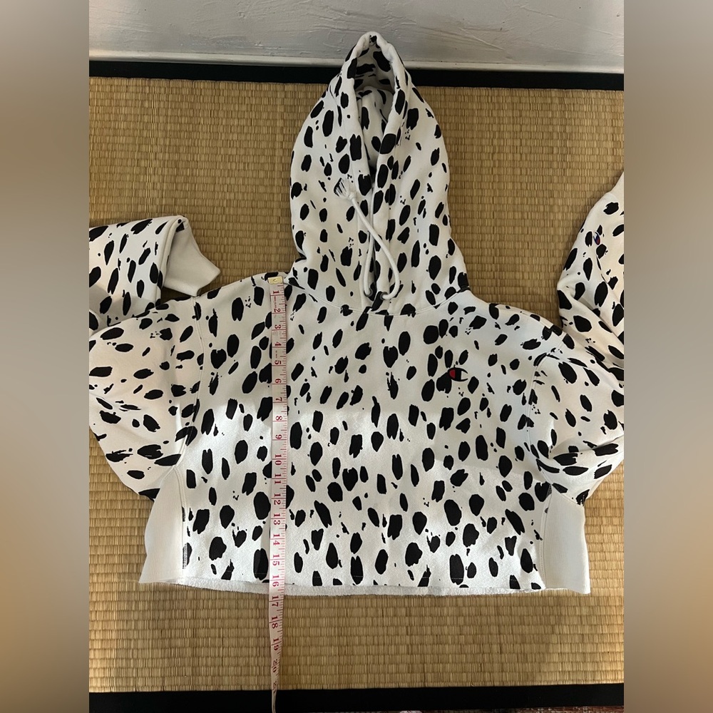 Champion cropped hoodie